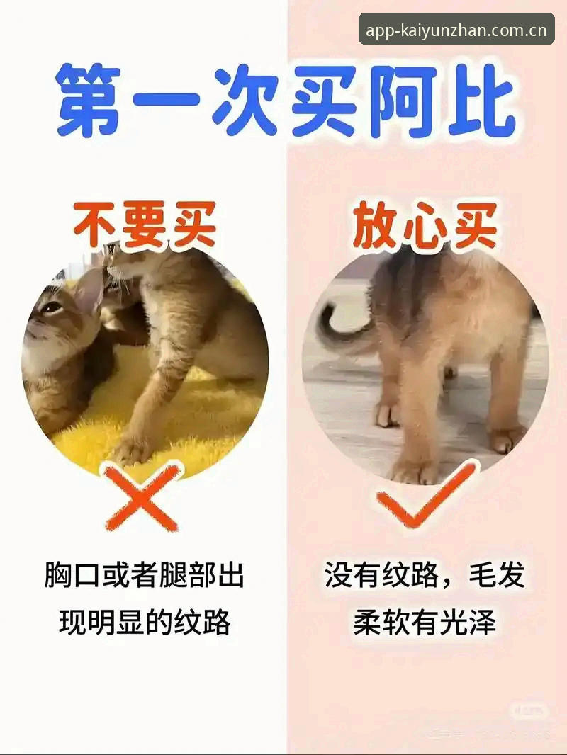 新手看球避坑指南：从挪威1-0塞内加尔读懂比赛的正确打开方式